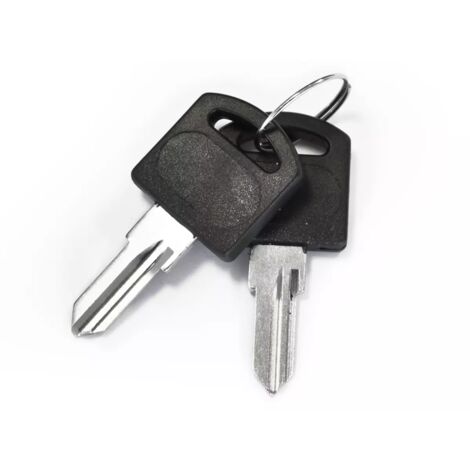 SCS Sentinel - Lot de 2 clés à graver, KeyGate