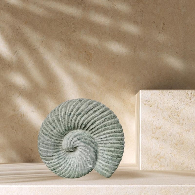 Wanda Collection - Sculpture coquille de nautilus en pierre volcanique 20 cm