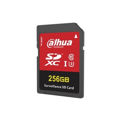 SD-H100-256GB - Carte SD 256 Go