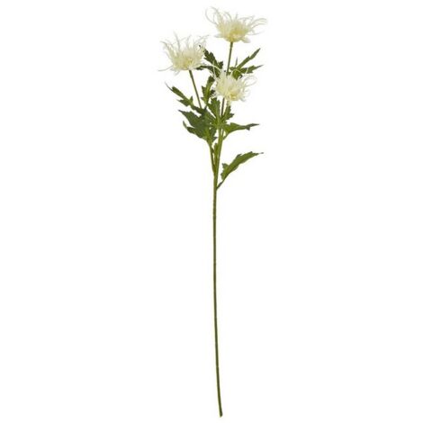 Sea Holly Spray (Single Stem Flower) - Plastic - Height 67 cm - Cream