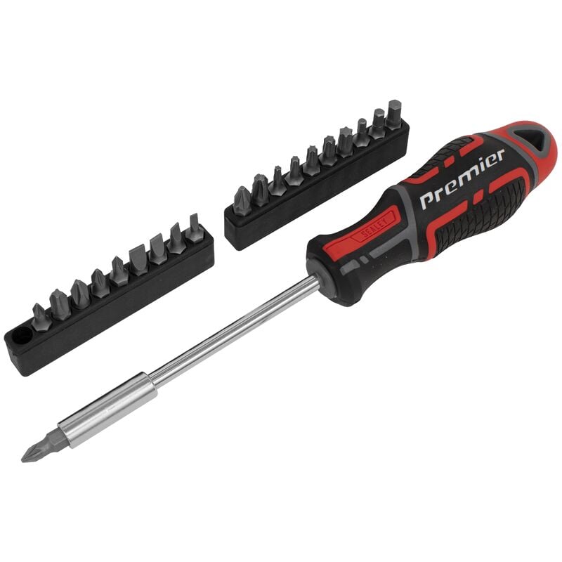 Screwdriver & Bit Set21 Piece GripMax - Sealey