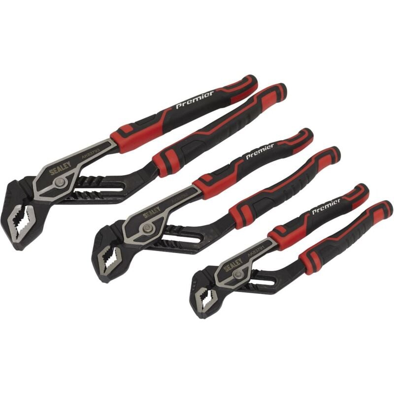 Pliers Set Water Pump 3pc AK8379 - Sealey