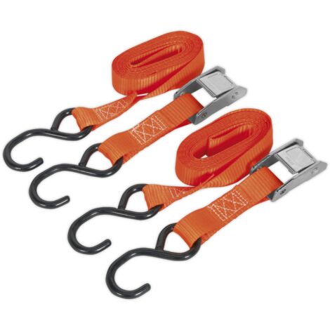 Sealey Cam Buckle Strap Polyester Webbing with S-Hooks 25mm x 2.5m 250kg Breaking Strength TD2525CS
