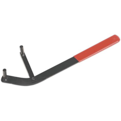Sealey Camshaft Positioning Tool VS173