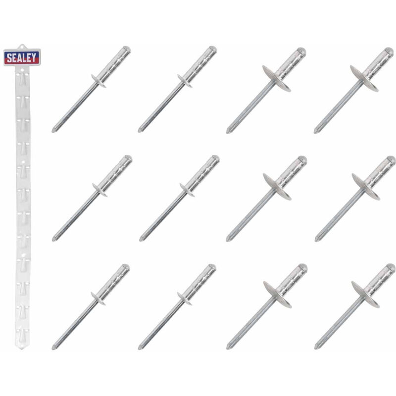 Sealey Clip Strip Deal - Aluminium Rivets RVSET