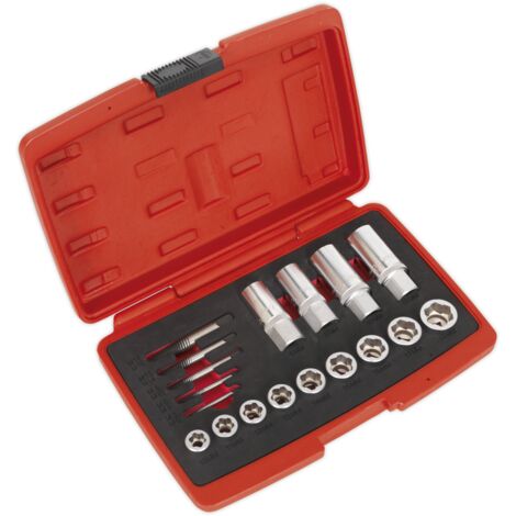 Sealey Premier Bolt, Stud & Screw Extractor Set 18pc AK751