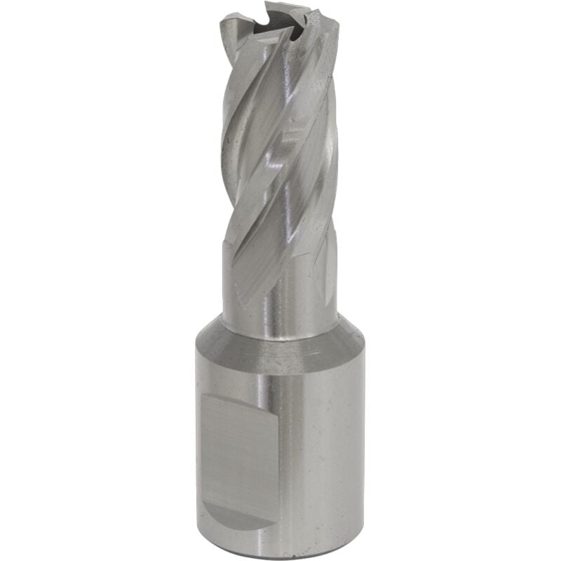 Sealey - Rotabor Cutter hss 13MM - Cut Depth 25MM