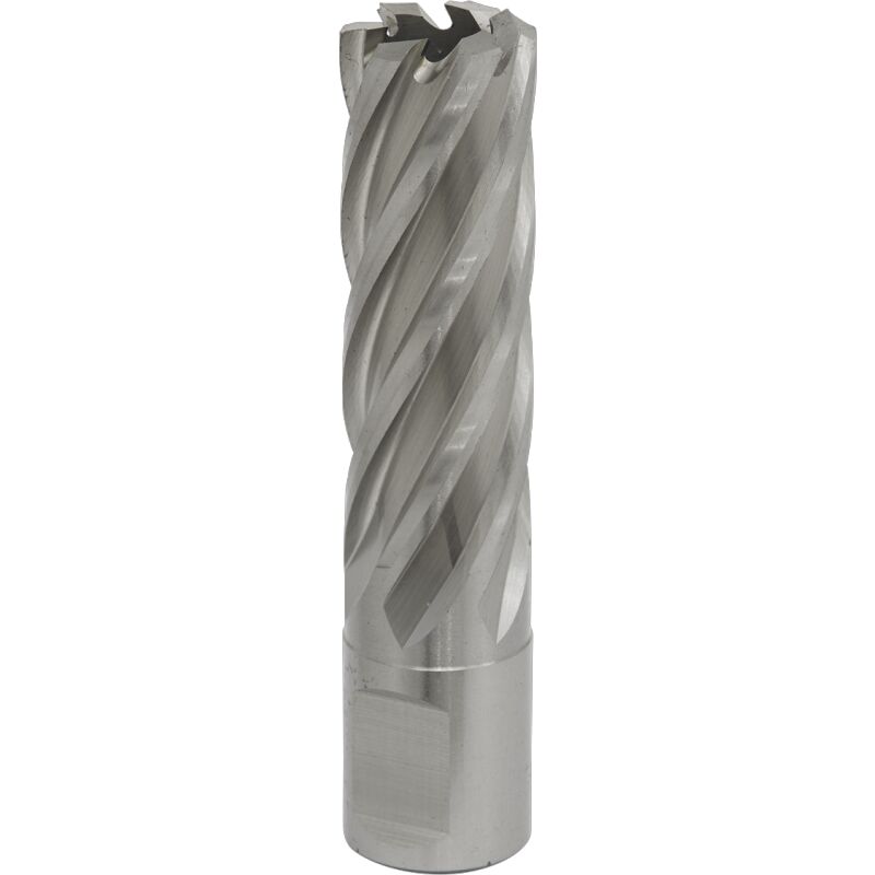 Sealey Rotabor Cutter HSS 19MM - Cut Depth 50MM