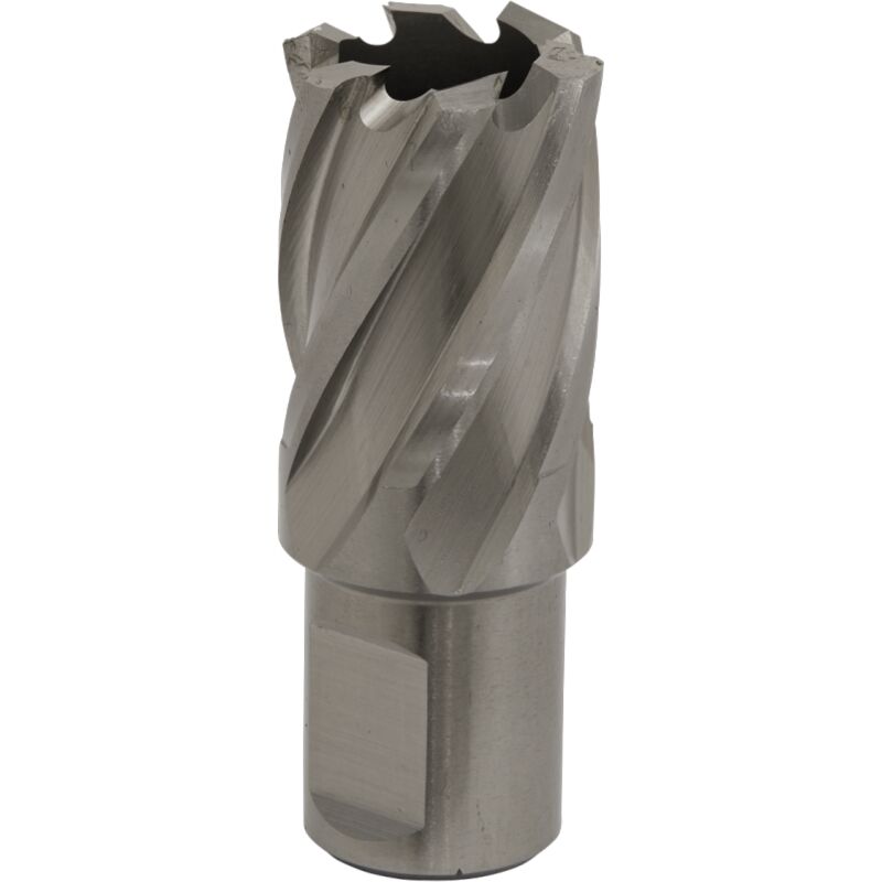 Sealey - Rotabor Cutter hss 23MM - Cut Depth 25MM