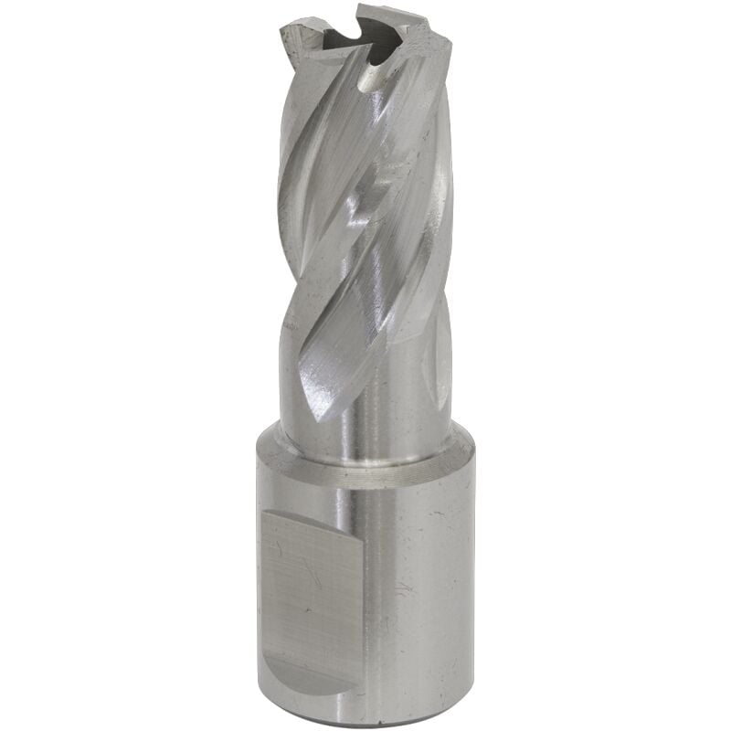 Rotabor Cutter hss 15MM - Cut Depth 25MM - Sealey