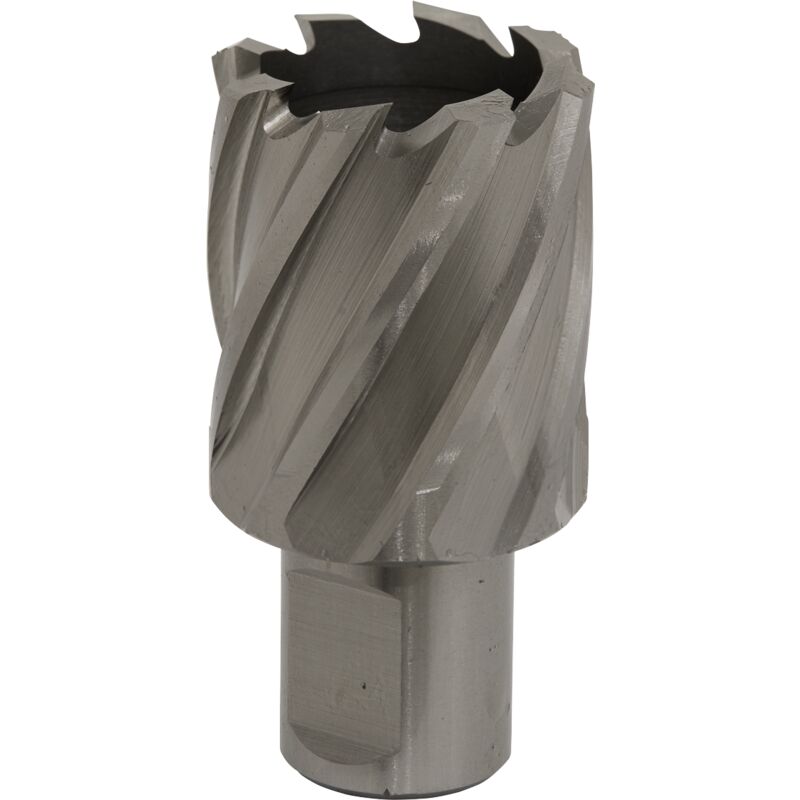 Sealey - RBHSS33S Worksafe® 33mm hss Mag Drill Bit Cut Depth 25mm