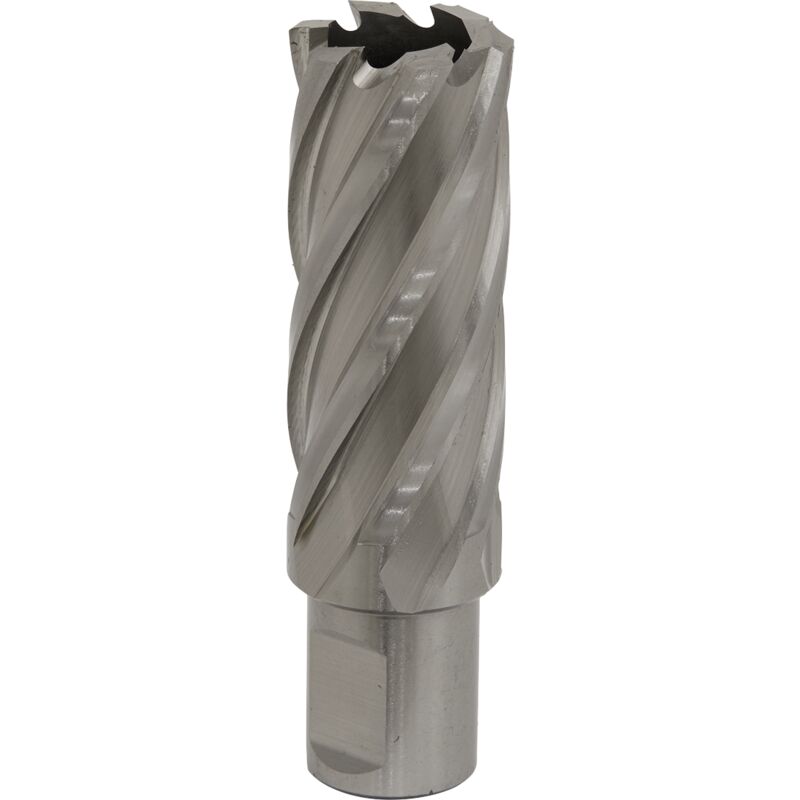 Sealey - RBHSS24L Worksafe® 24mm hss Mag Drill Bit Cut Depth 50mm