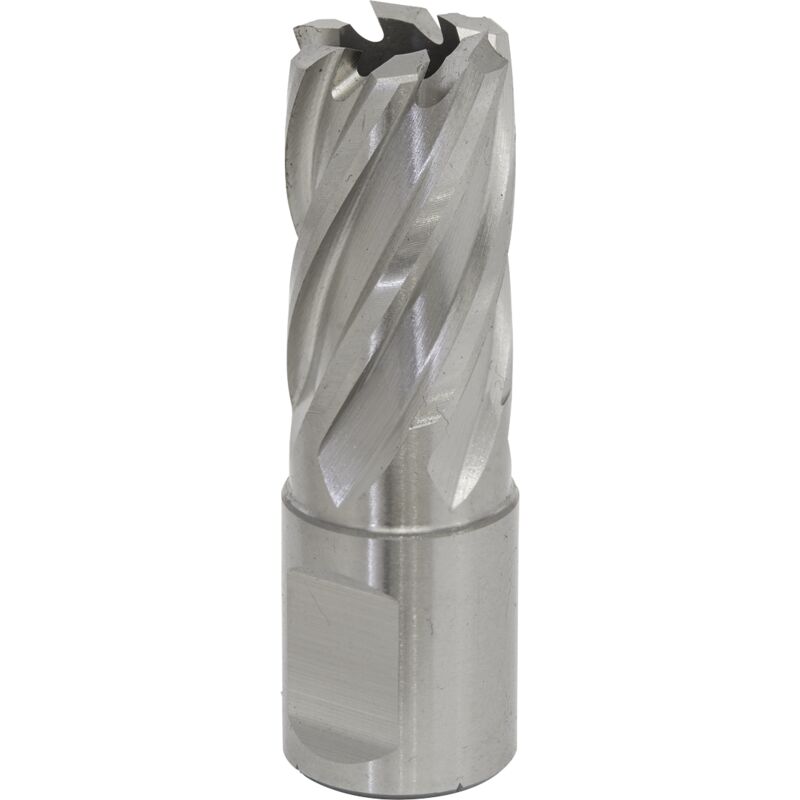 Sealey - RBHSS18S Worksafe® 18mm hss Mag Drill Bit Cut Depth 25mm