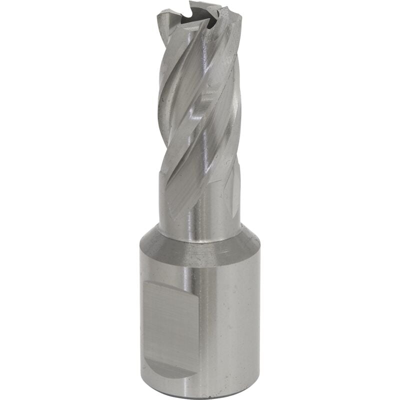 Sealey - RBHSS12S Worksafe® 12mm hss Mag Drill Bit Cut Depth 25mm