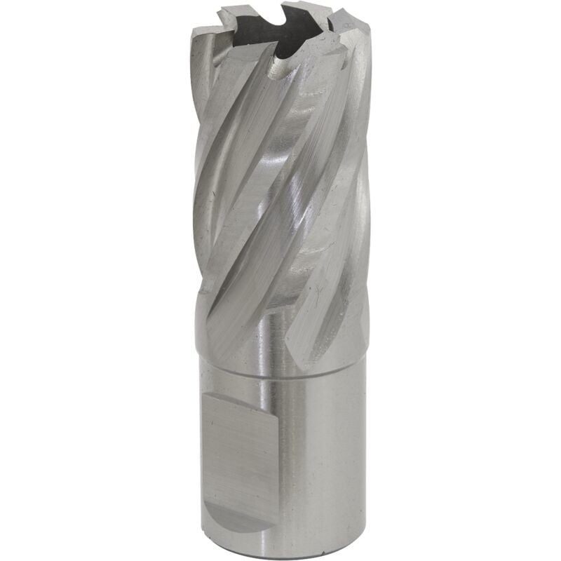 Sealey - RBHSS21S Worksafe® 21mm hss Mag Drill Bit Cut Depth 25mm
