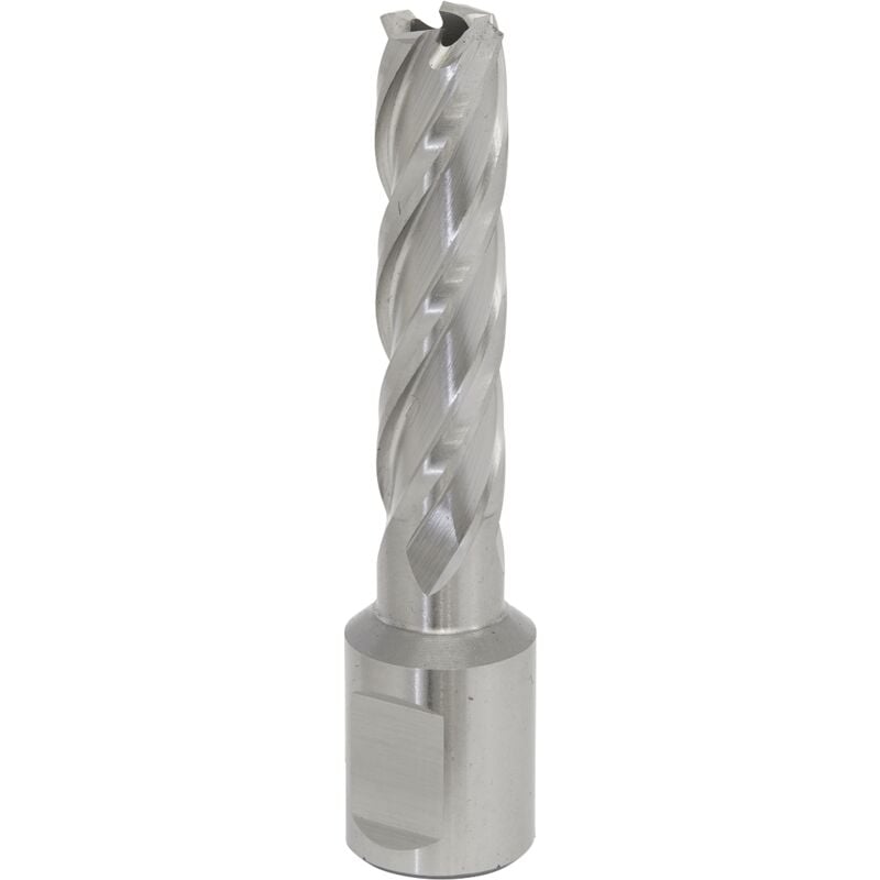 Sealey - RBHSS13L Worksafe® 13mm hss Mag Drill Bit Cut Depth 50mm