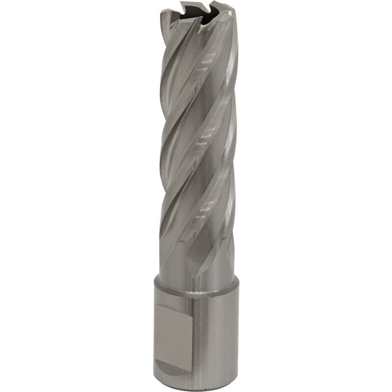 Sealey - RBHSS17L Worksafe® 17mm hss Mag Drill Bit Cut Depth 50mm