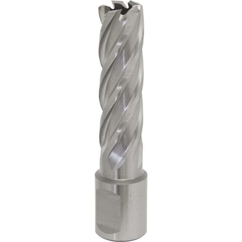 Sealey - RBHSS16L Worksafe® 16mm hss Mag Drill Bit Cut Depth 50mm