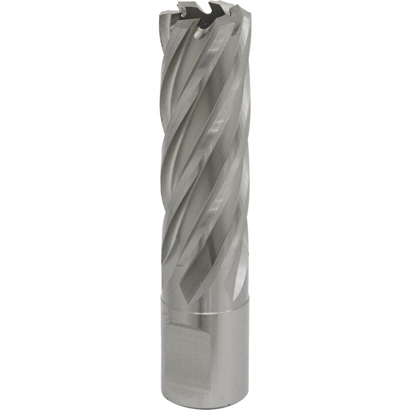 Sealey RBHSS19L Worksafe® 19mm HSS Mag Drill Bit Cut Depth 50mm