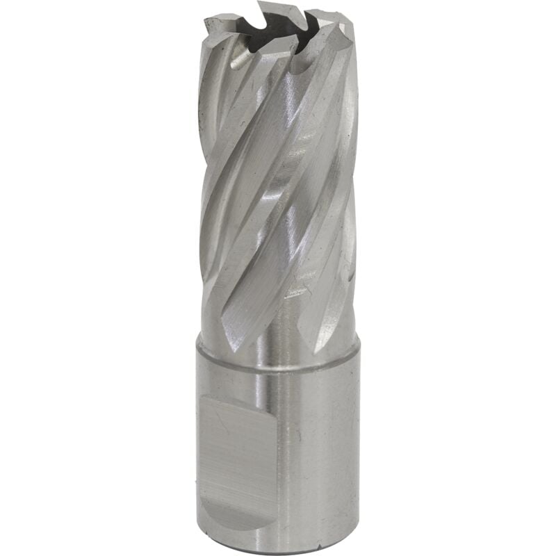 Sealey RBHSS17S Worksafe® 17mm HSS Mag Drill Bit Cut Depth 25mm
