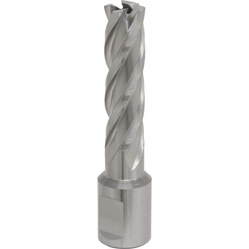 Sealey - RBHSS15L Worksafe® 15mm hss Mag Drill Bit Cut Depth 50mm