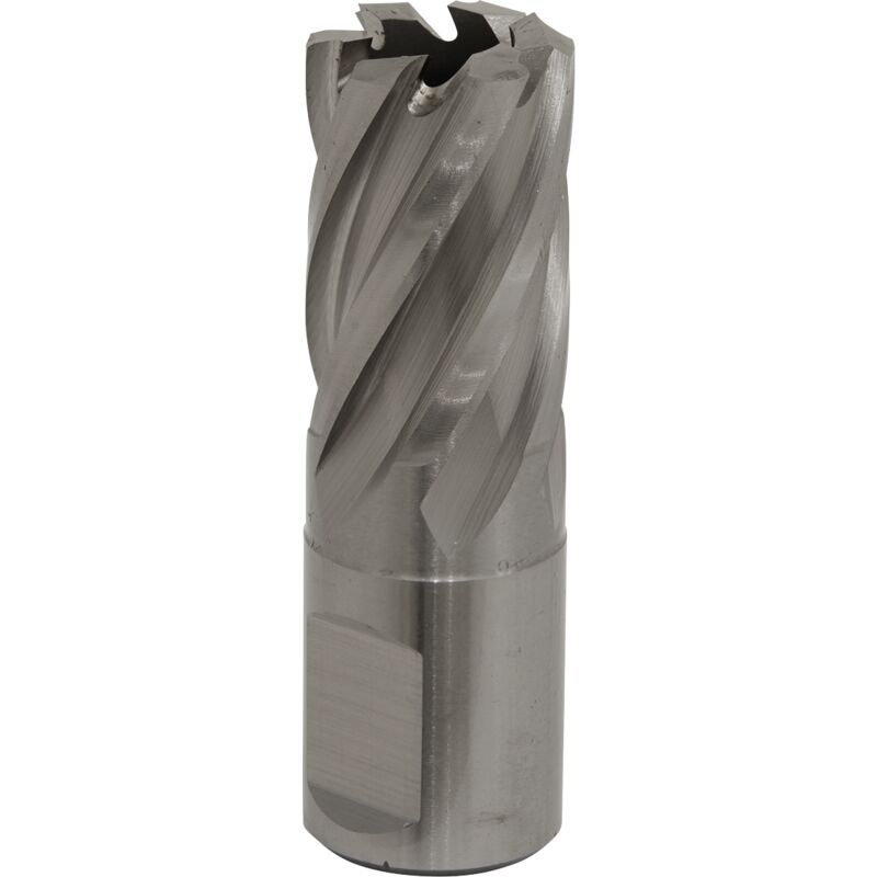 Sealey - RBHSS19S Worksafe® 19mm hss Mag Drill Bit Cut Depth 25mm