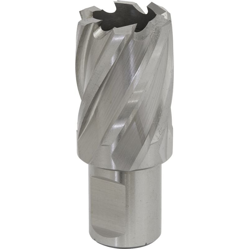 Sealey RBHSS25S Worksafe® 25mm HSS Mag Drill Bit Cut Depth 25mm