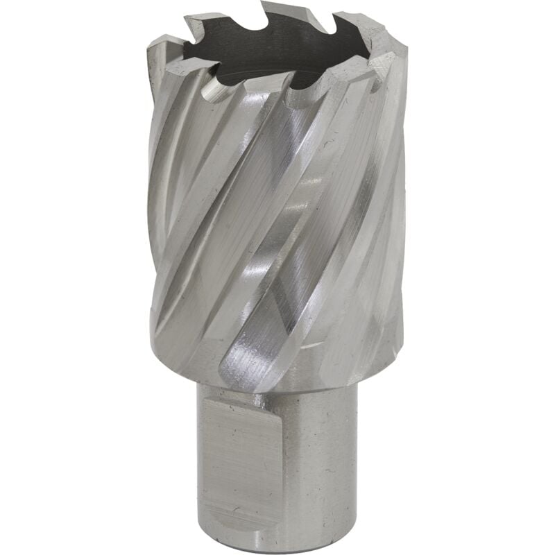Sealey - RBHSS29S Worksafe® 29mm hss Mag Drill Bit Cut Depth 25mm