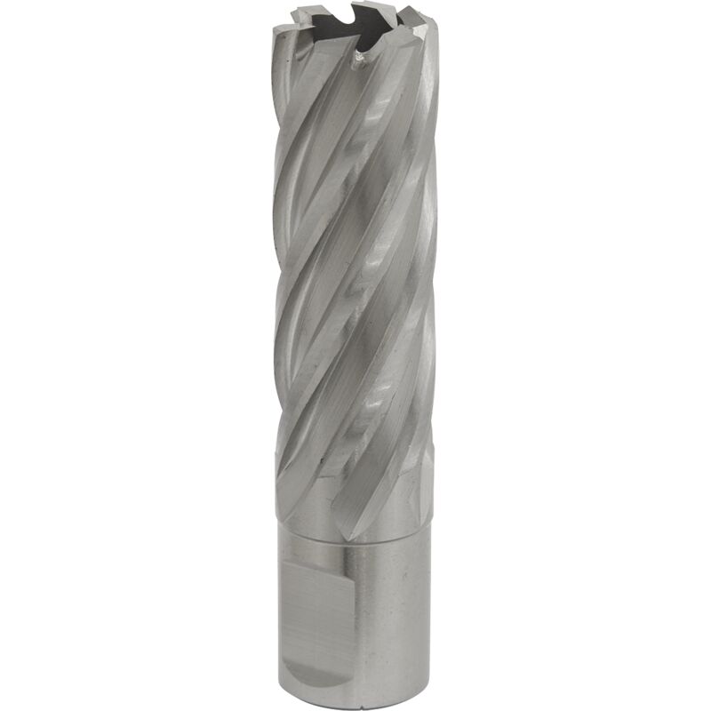 Sealey - RBHSS20L Worksafe® 20mm hss Mag Drill Bit Cut Depth 50mm