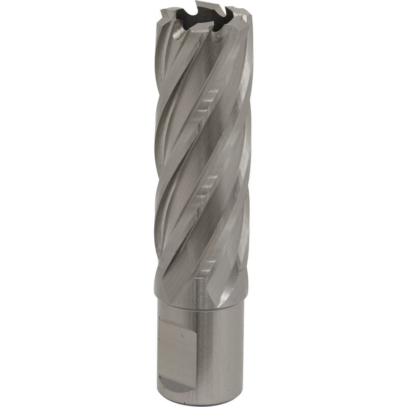 Sealey - RBHSS22L Worksafe® 22mm hss Mag Drill Bit Cut Depth 50mm