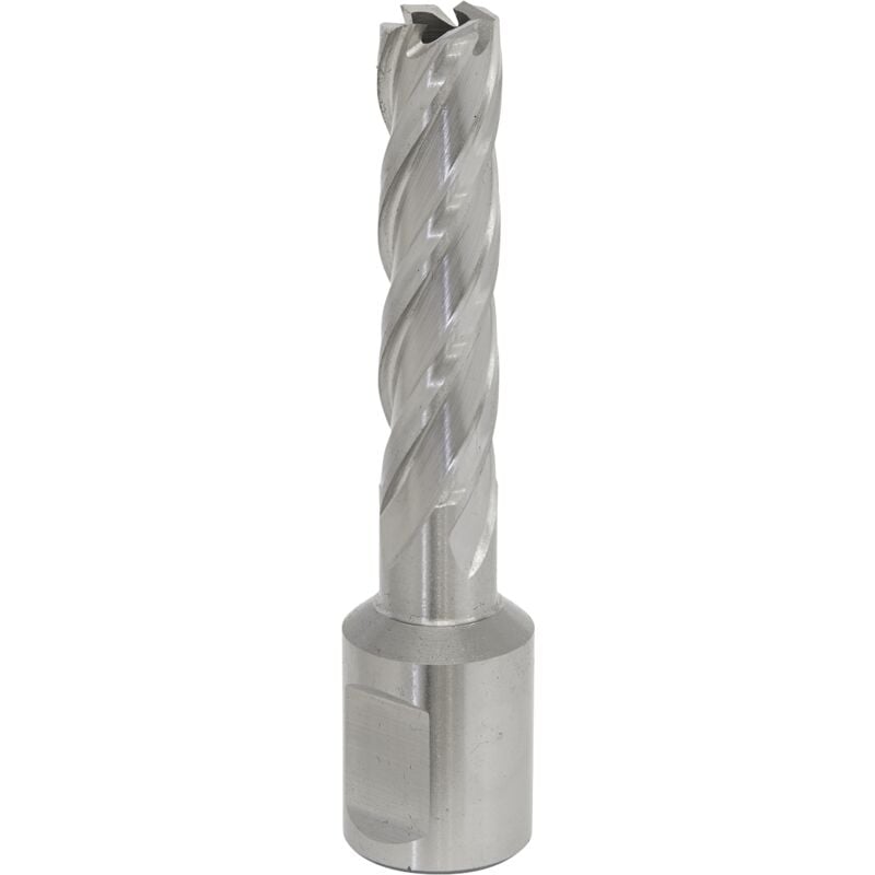 Sealey - RBHSS12L Worksafe® 12mm hss Mag Drill Bit Cut Depth 50mm