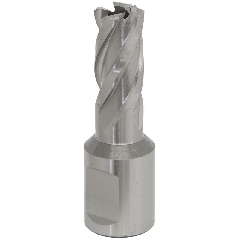 Rotabor Cutter hss 13MM - Cut Depth 25MM - Sealey