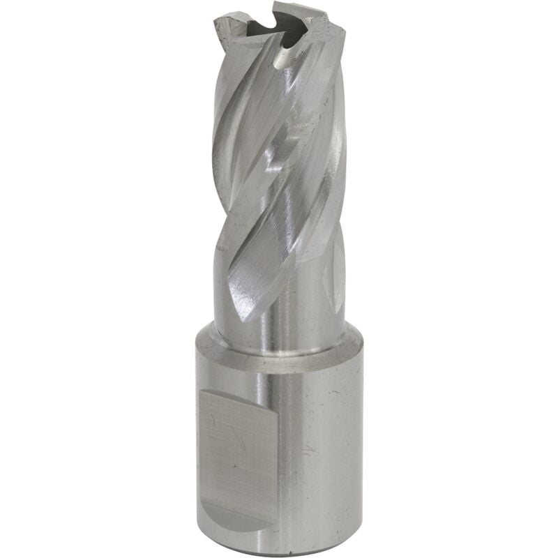 Sealey - RBHSS15S Worksafe® 15mm hss Mag Drill Bit Cut Depth 25mm