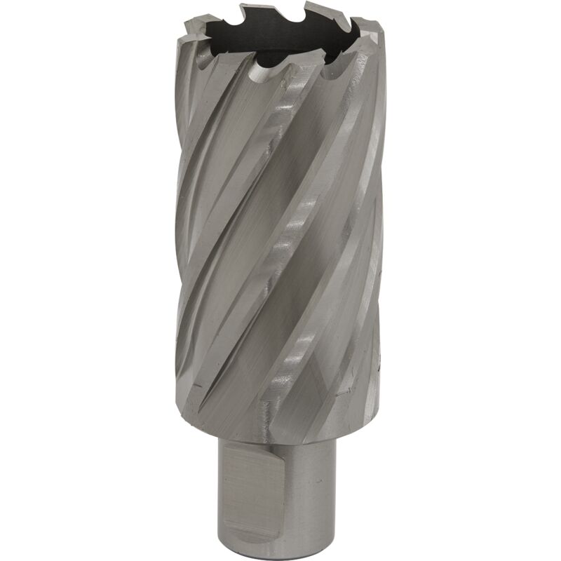 Sealey - RBHSS33L Worksafe® 33mm hss Mag Drill Bit Cut Depth 50mm