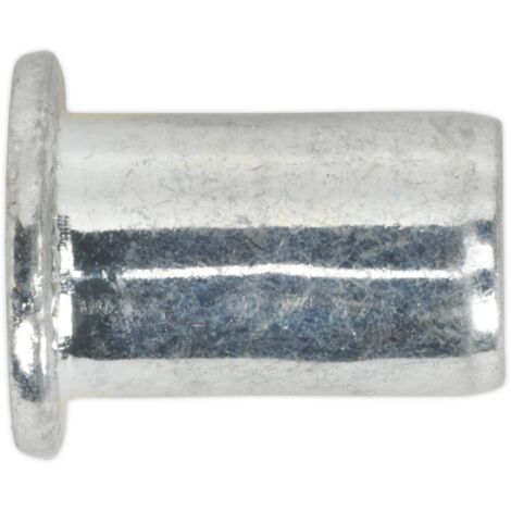 Sealey Regular Threaded Insert (Rivet Nut) M10 - Pack of 50 TIRM10