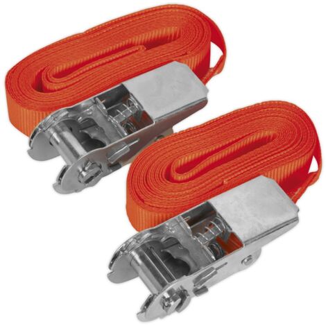 Sealey Self-Securing Ratchet Straps 25mm x 4.5m 500kg Breaking Strength - Pair TD05045E