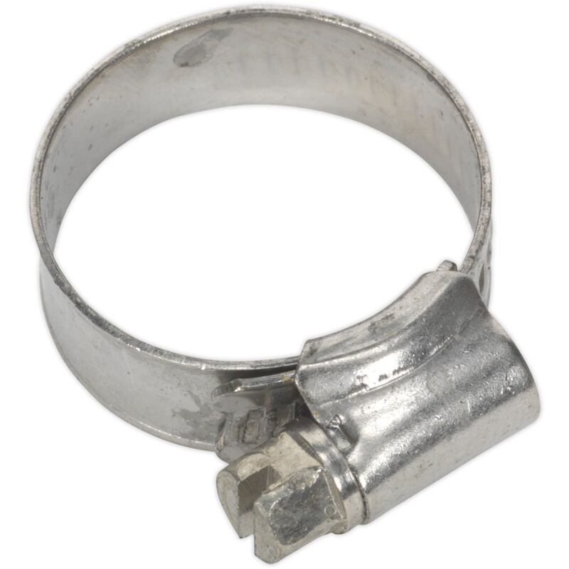 Image of Hose Clip Stainless Steel 16-27MM Pack&hellip;