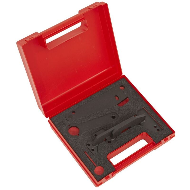 Sealey - VS5260 Petrol Engine Timing Tool for Dacia, Mercedes, Nissan, Renault 1.3 - Chain Drive