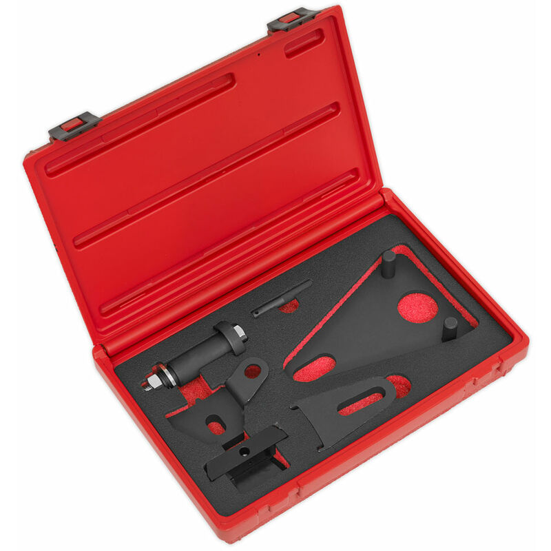 Sealey VSE5032 Front Pulley & Flywheel Locking Tool Set