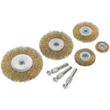 Sealey Wire Brush Set 8pc Brassed BWBS08