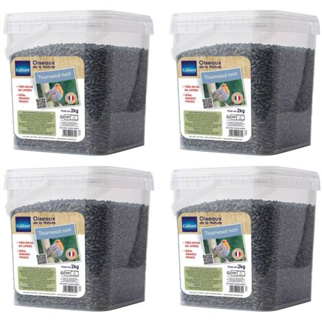 Seau de graines de tournesol noir 2 kgs pour oiseau de la nature - Lot de 4