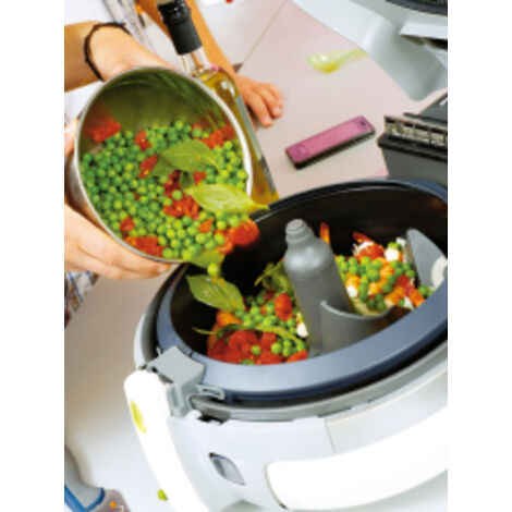 Seb Pale de Brassage Amovible pour Friteuse Actifry Family 1,5kg XA950101, Gris