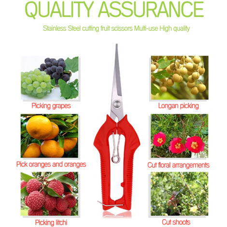 Sécateur de jardin manuel ergonomique - Lames acier inoxydable - Manche antidérapant - Sécurité loquet