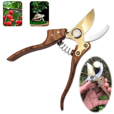 Sécateur de Jardin - MARQUE - Cisailles à fleurs - Acier SK5 allié - Poignée ergonomique - Verrou de sécurité