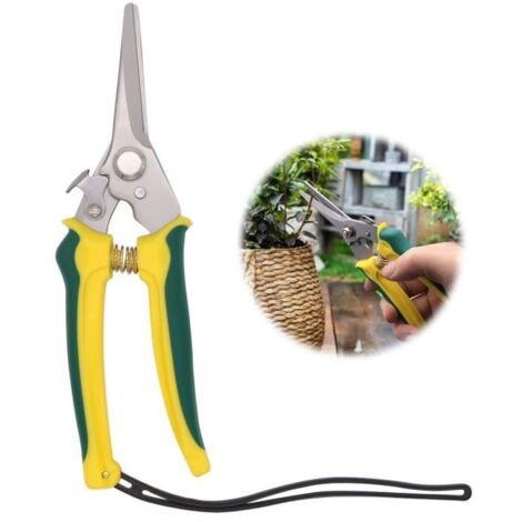 Sécateur de Jardin - Portable - Ergonomique - Acier Inoxydable - Avec Cordon de Suspension