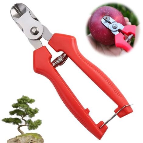 Sécateur de Jardin pour Fleurs, Bonsaï, Plantes, Branches, Pommes, Raisins, Roses et Vignes (1 pièce)