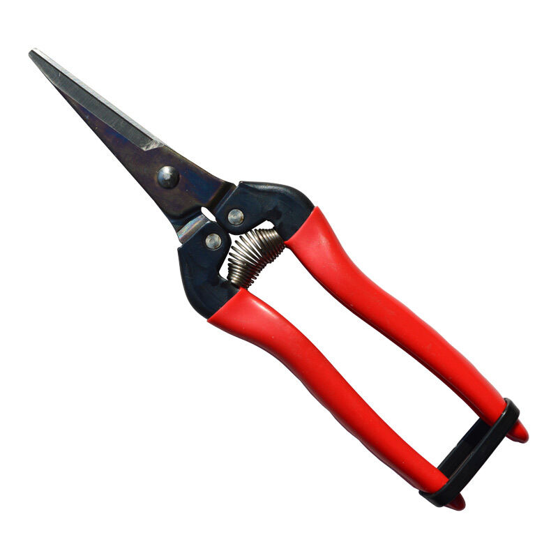 Sécateur de Précision pour Fruits, Fleurs, Herbes - Outils de Récolte pour Légumes Hydroponiques et Raisins