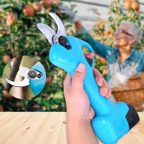 Sécateur électrique sans fil professionnel avec 2 batteries lithium rechargeables de 2 Ah, coupe-branches, 16 V, 25 mm, kit d'entretien inclus