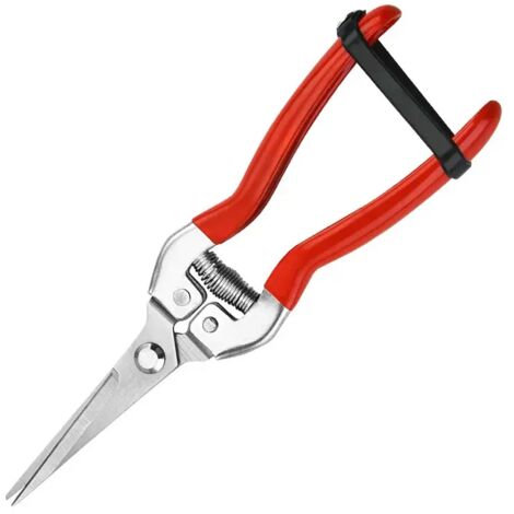 Sécateur en acier inoxydable, sécateur de jardin, sécateur pour la cueillette de raisins, outils de taille des branches-AquaForge