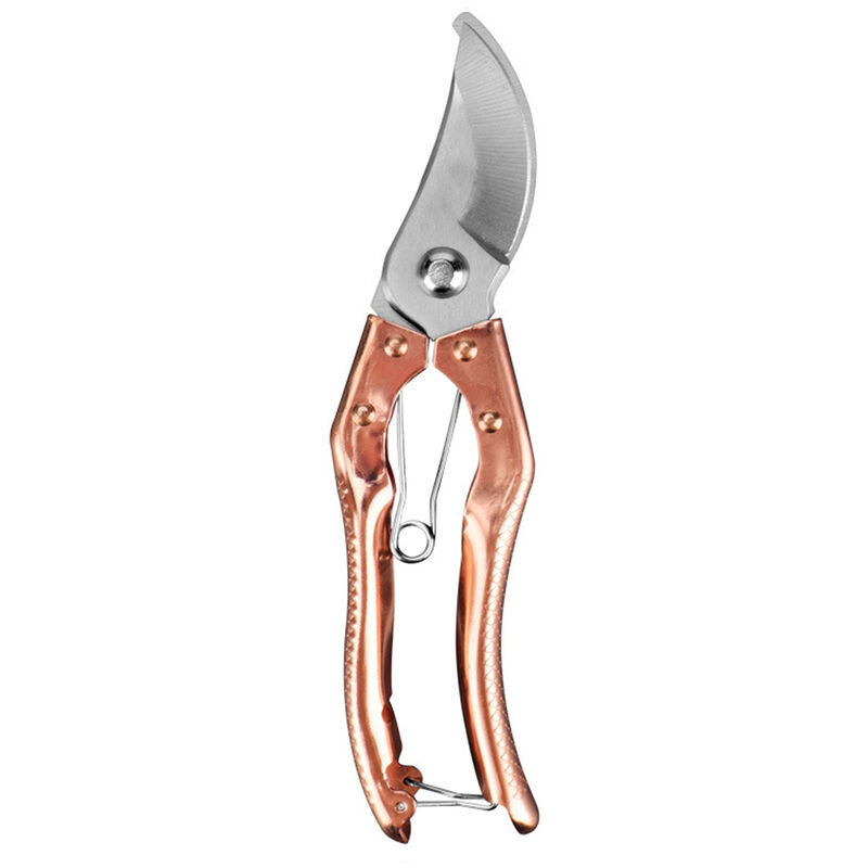Asupermall - Secateur Lame En Acier Secateur Avec Poignees Ergonomiques Jardinage Ciseaux Elagage Bonsai Coupe De Jardinage Professionnel Kit